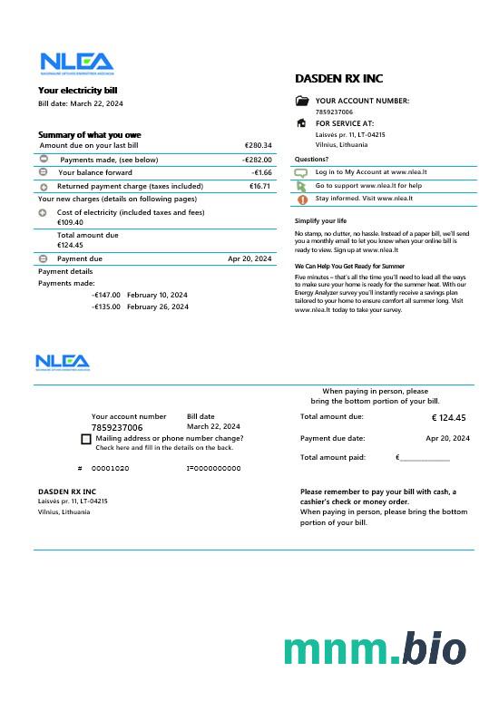 Litwa National Lithuanian Energy Association rachunek za usługi komunalne Word and PDF template